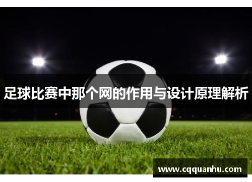 足球比赛中那个网的作用与设计原理解析
